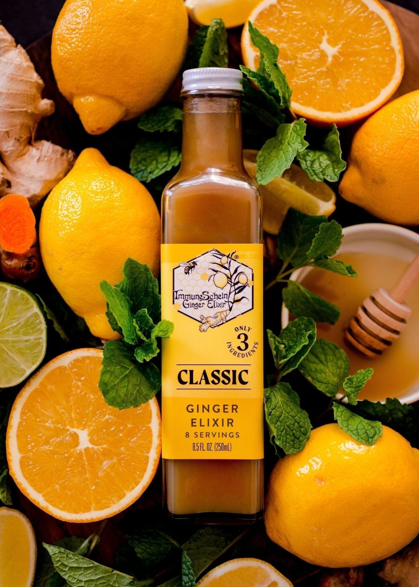 Case mix & match Ginger Elixir, 12 x 8.5 oz. Bottles (Get 5% off at Checkout!) Ginger Elixir ImmuneSchein Ginger Elixirs 