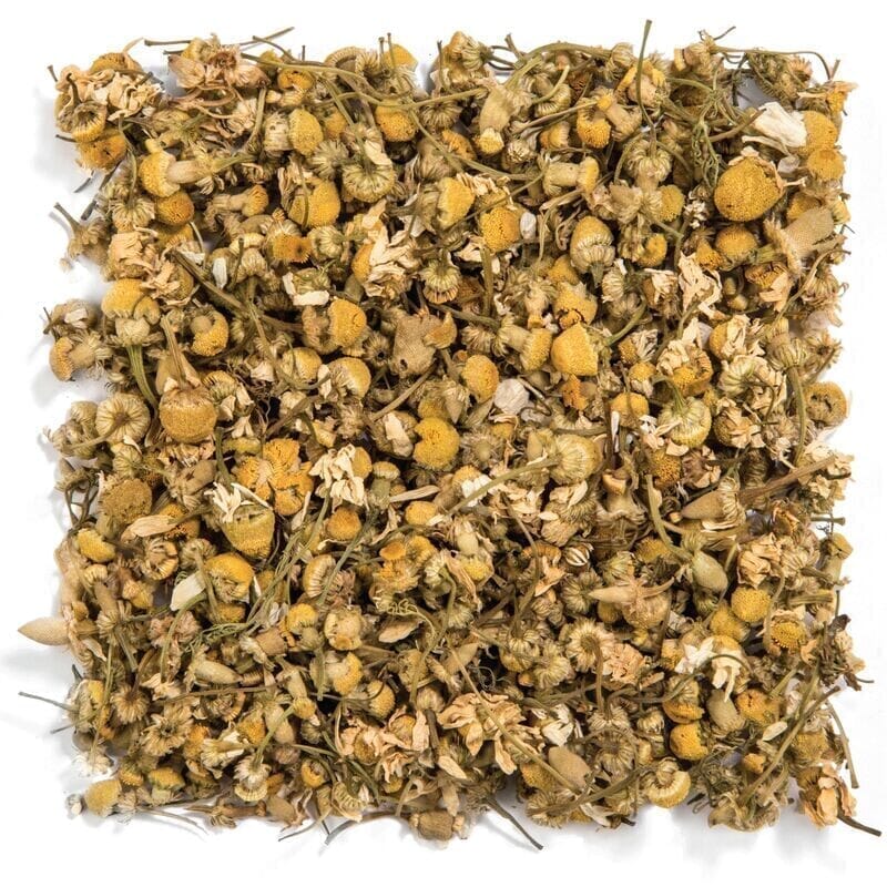 Egyptian Chamomile (Sold in 1 oz. Multiples) Loose Leaf Botanical Tea Tealyra 