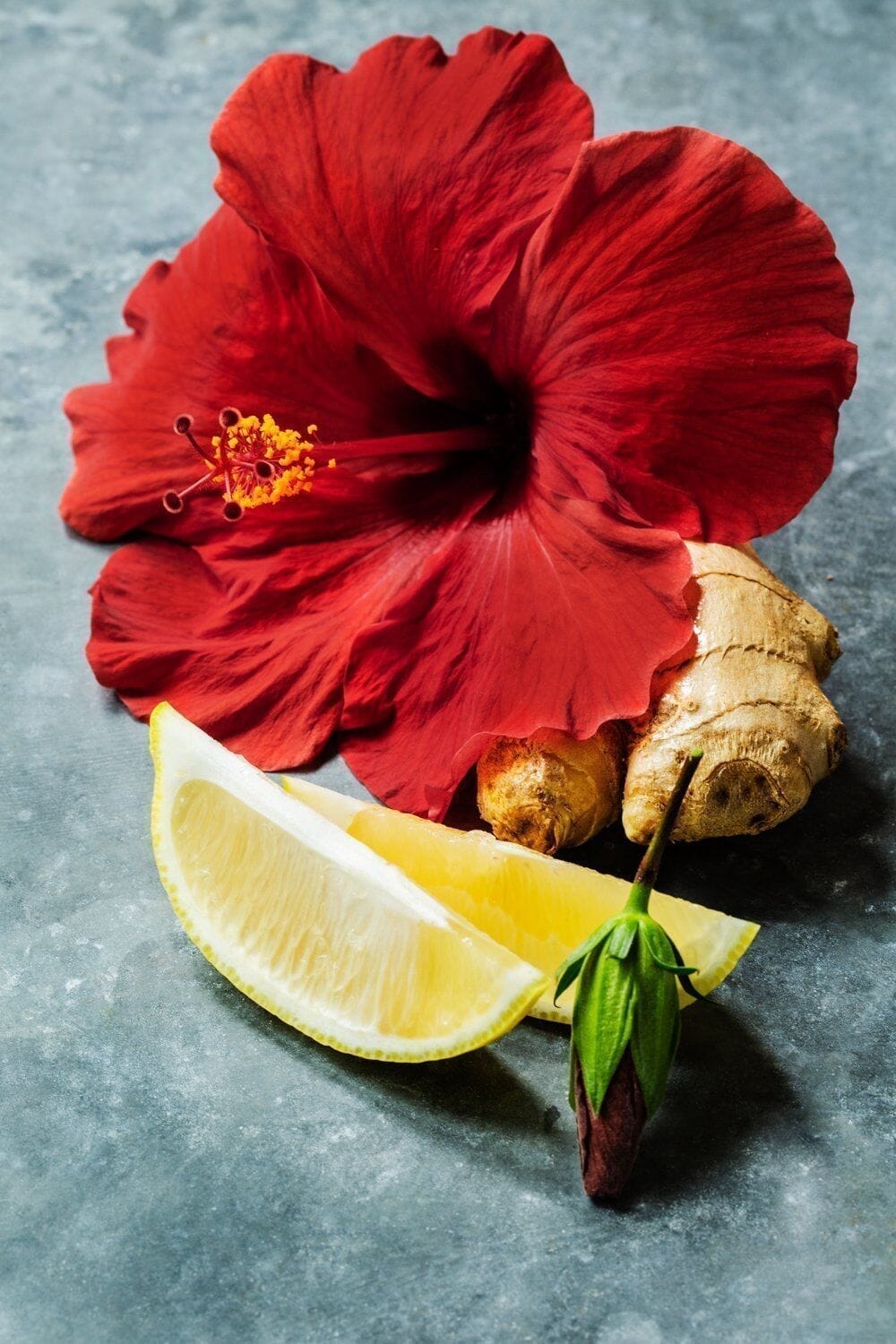 Hibiscus Flower Ginger Elixir Ginger Elixir ImmuneSchein Ginger Elixirs 