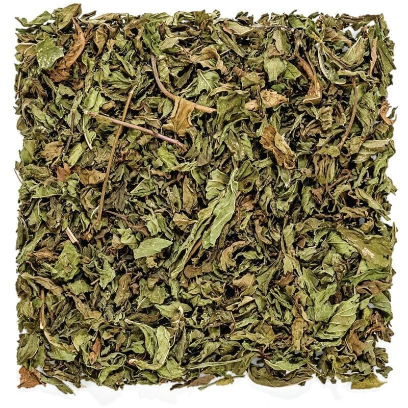 Moroccan Spearmint (Sold in 1 oz. Multiples) Loose Leaf Botanical Tea Tealyra 